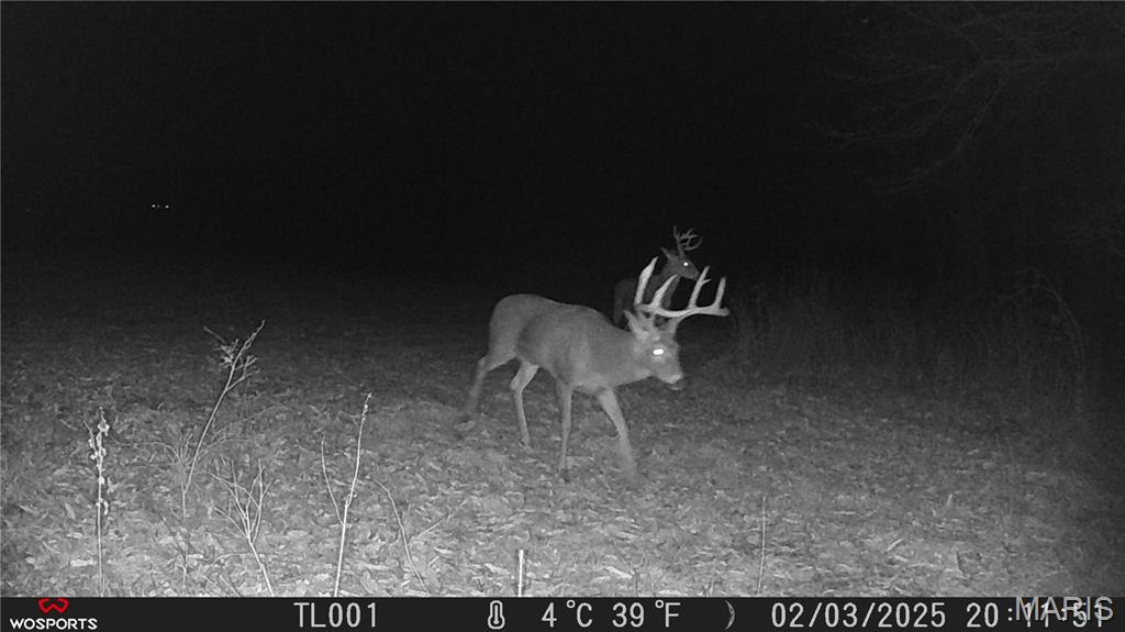 242 Gerding Road Troy, MO 63379 - Photo 53 of 99