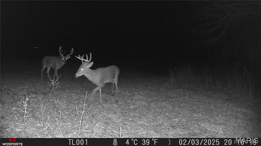 242 Gerding Road Troy, MO 63379 - Photo 54 of 99