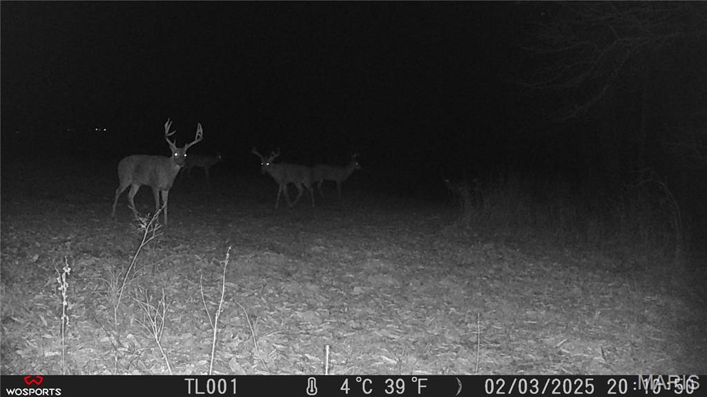 242 Gerding Road Troy, MO 63379 - Photo 55 of 99