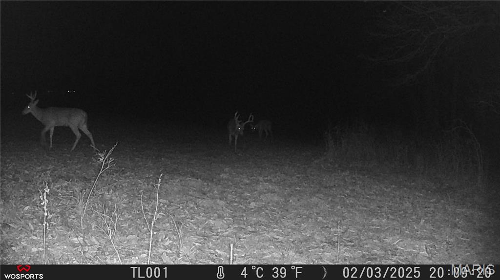 242 Gerding Road Troy, MO 63379 - Photo 56 of 99