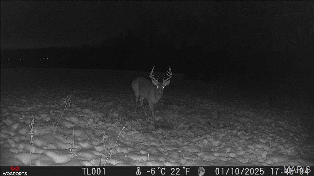 242 Gerding Road Troy, MO 63379 - Photo 57 of 99