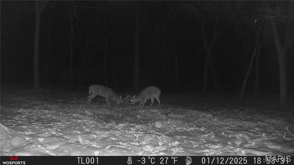 242 Gerding Road Troy, MO 63379 - Photo 58 of 99