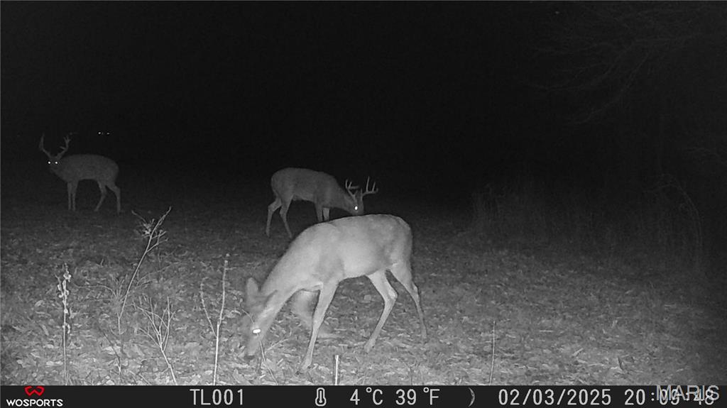 242 Gerding Road Troy, MO 63379 - Photo 62 of 99