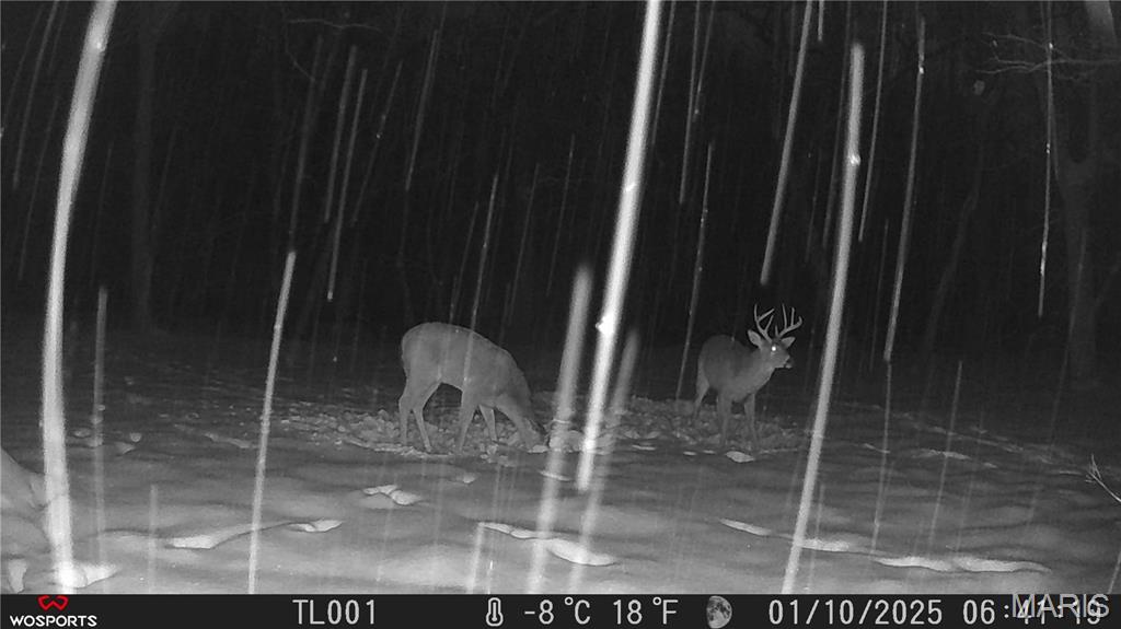 242 Gerding Road Troy, MO 63379 - Photo 63 of 99