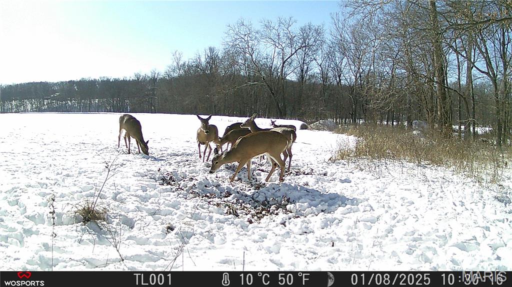 242 Gerding Road Troy, MO 63379 - Photo 64 of 99
