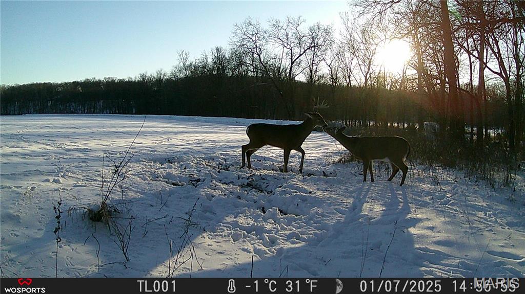 242 Gerding Road Troy, MO 63379 - Photo 65 of 99