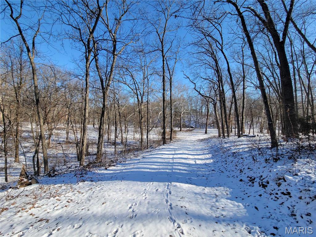 242 Gerding Road Troy, MO 63379 - Photo 78 of 99