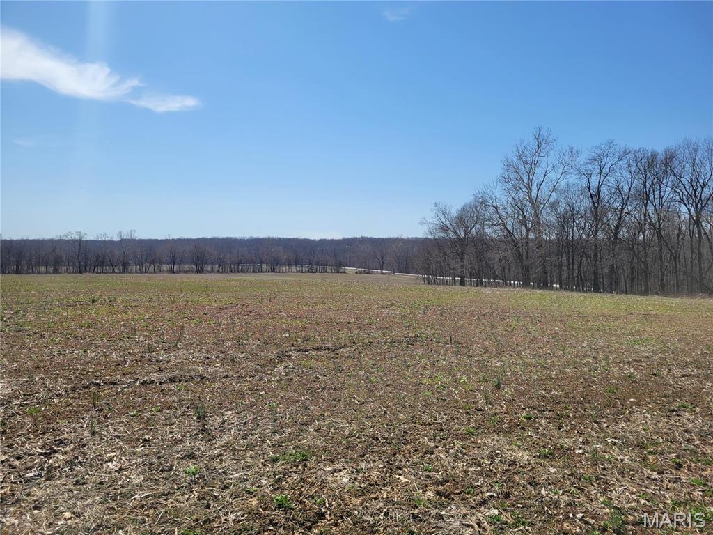 242 Gerding Road Troy, MO 63379 - Photo 84 of 99