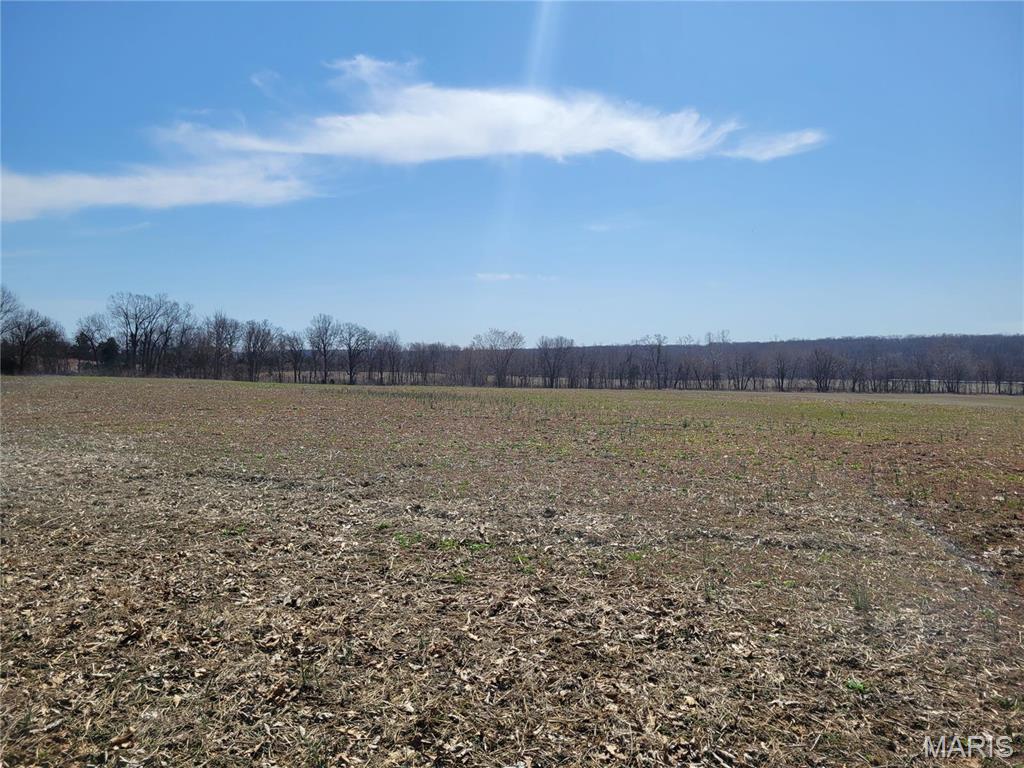 242 Gerding Road Troy, MO 63379 - Photo 85 of 99