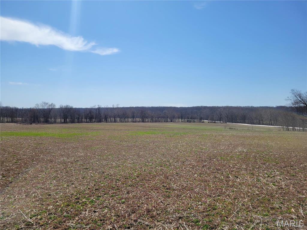 242 Gerding Road Troy, MO 63379 - Photo 86 of 99