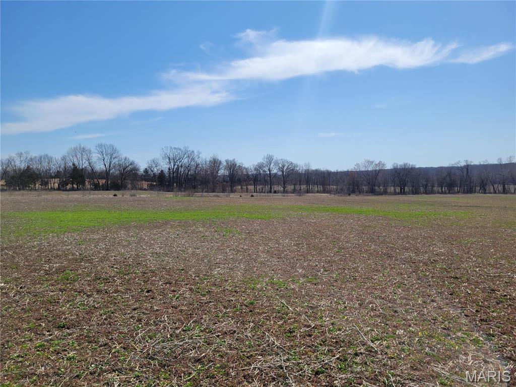 242 Gerding Road Troy, MO 63379 - Photo 87 of 99