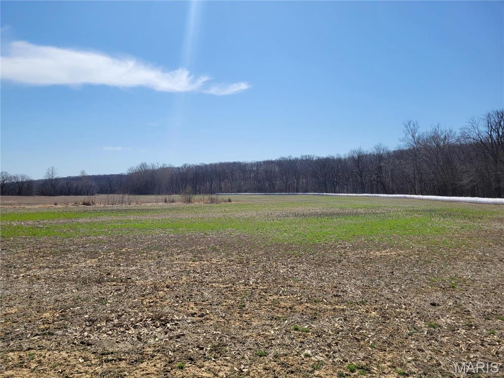 242 Gerding Road Troy, MO 63379 - Photo 88 of 99