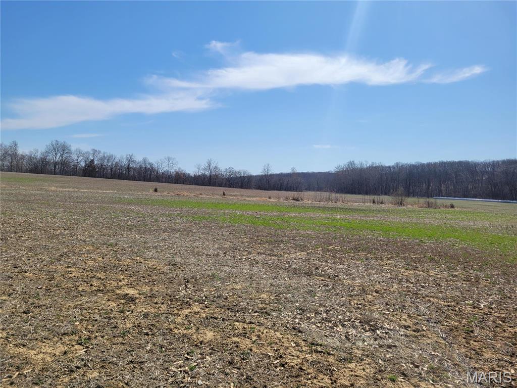 242 Gerding Road Troy, MO 63379 - Photo 89 of 99