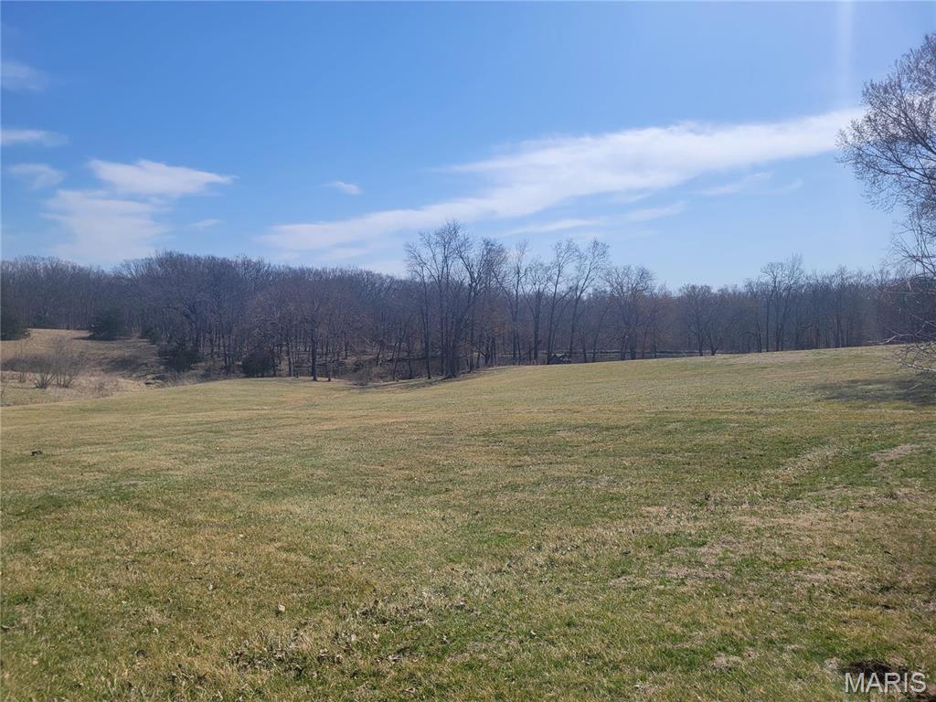 242 Gerding Road Troy, MO 63379 - Photo 90 of 99