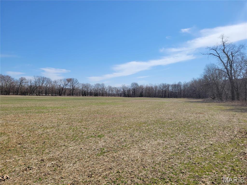 242 Gerding Road Troy, MO 63379 - Photo 92 of 99