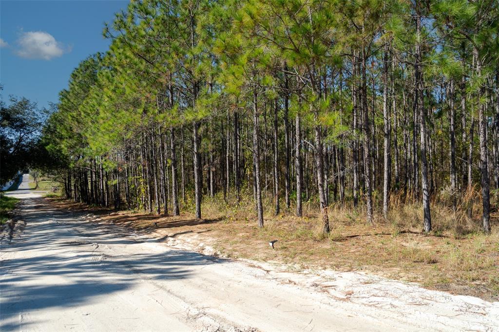 Lost Lake Road Clermont, FL 34711 - Photo 5 of 12