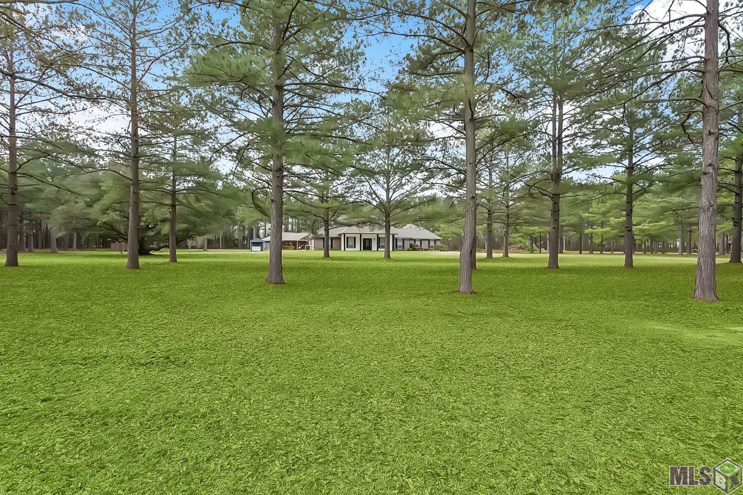 15182 Sterling Smith Road Roseland, LA 70456 - Photo 29 of 31