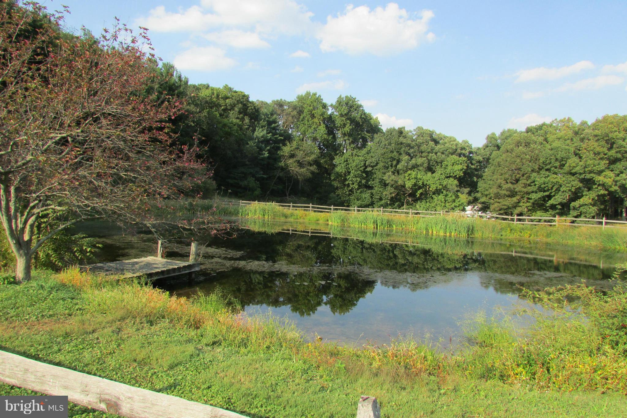 5847 Old Bohn Road Mount Airy, MD 21771 - Photo 15 of 18 pond