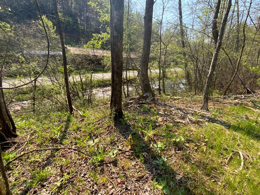 1000 Hyatt Creek Road Marble, NC 28905 - Photo 10 of 15