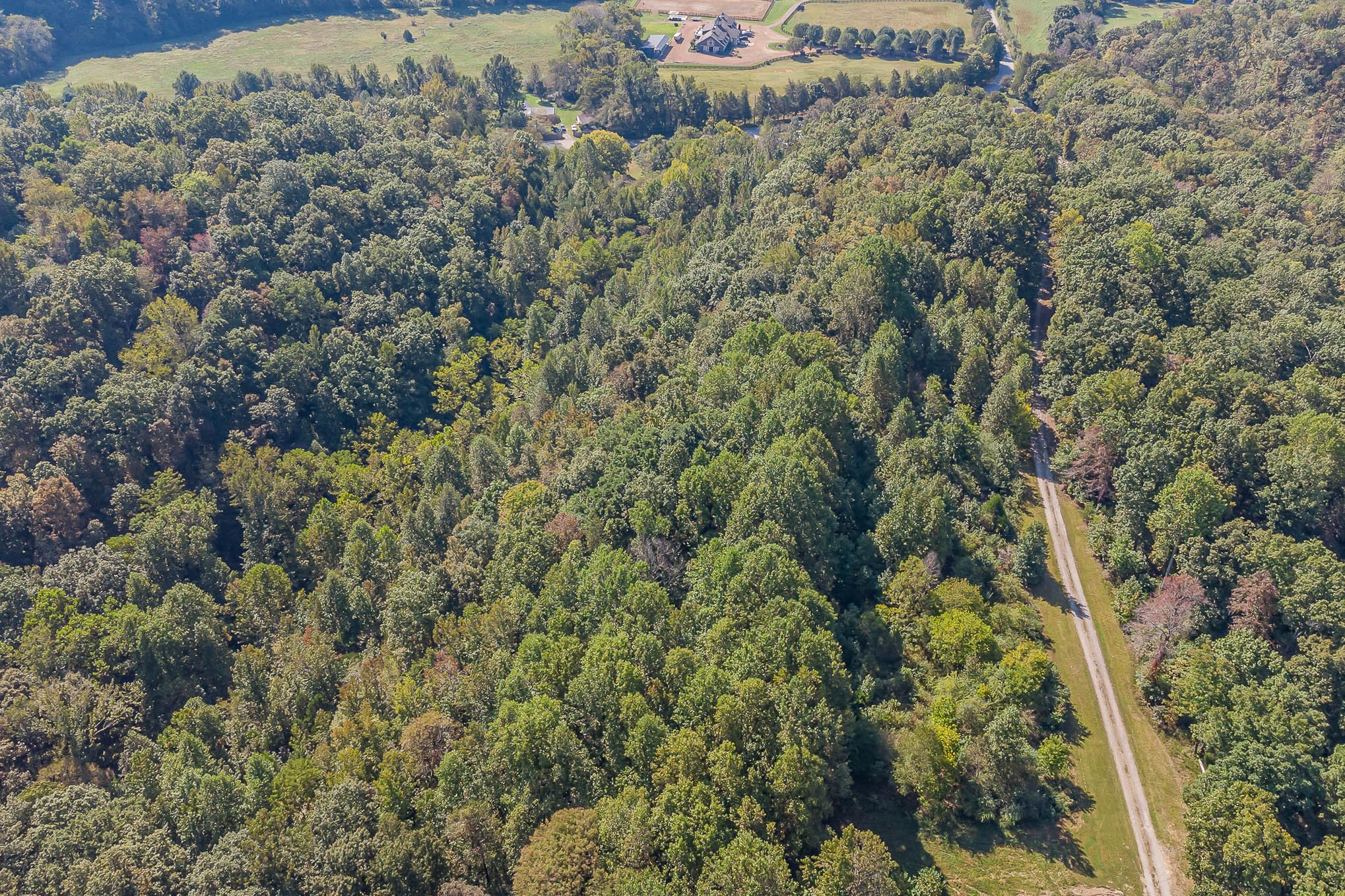 9003 Hester Beasley Road Nashville, TN 37221 - Photo 3 of 18 Gallery Image 3