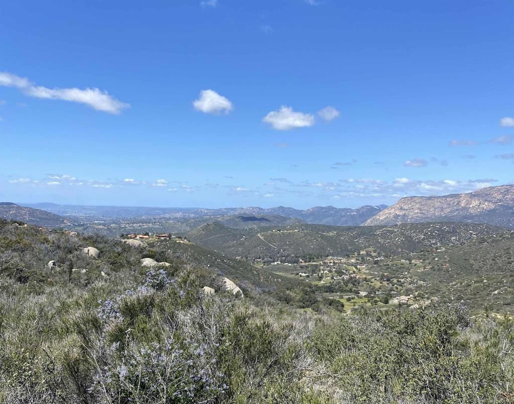 a view of city and mountain