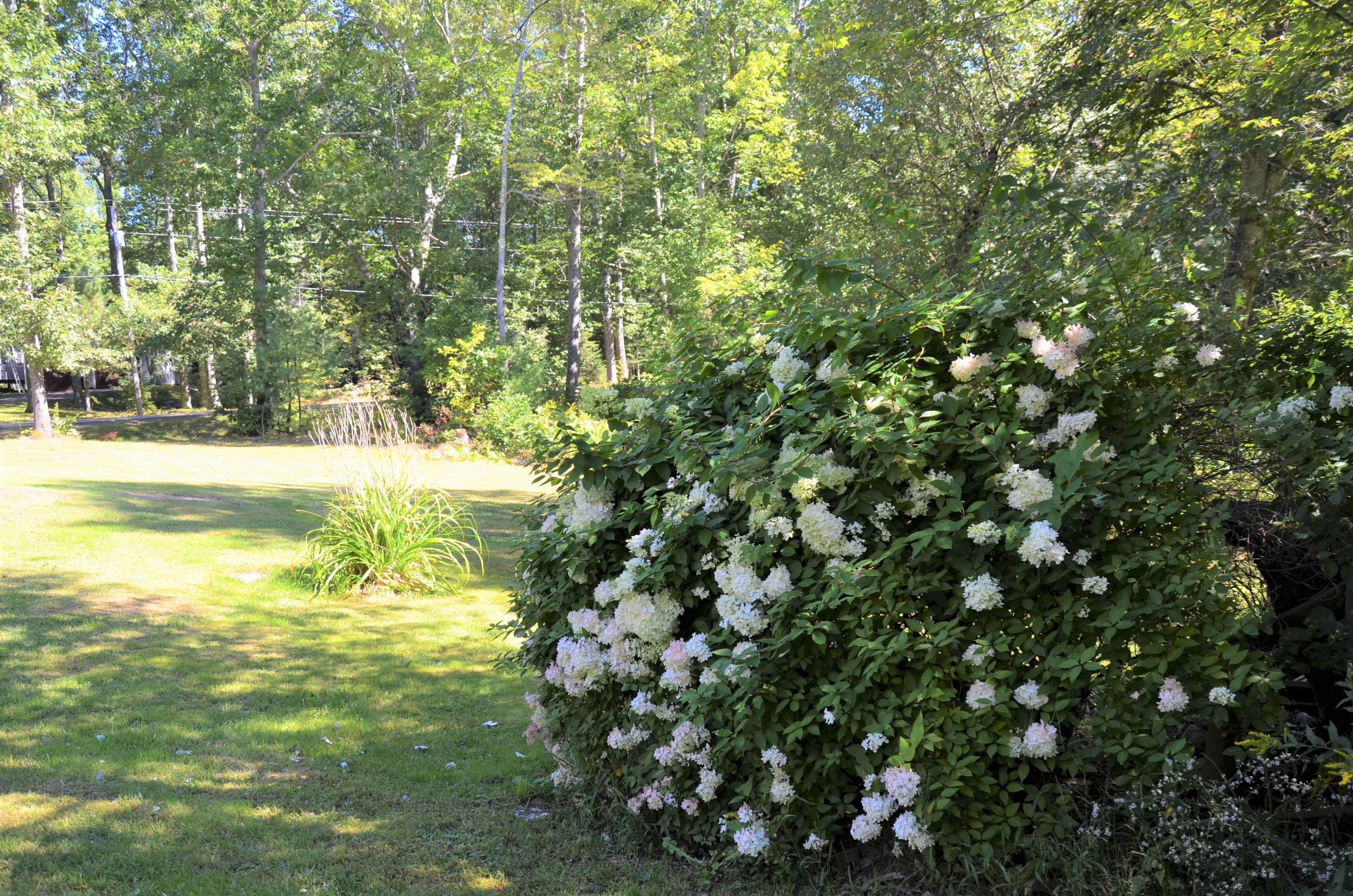 268 Alder Park Road South China, ME 04358 - Photo 19 of 20 19 Front Yard