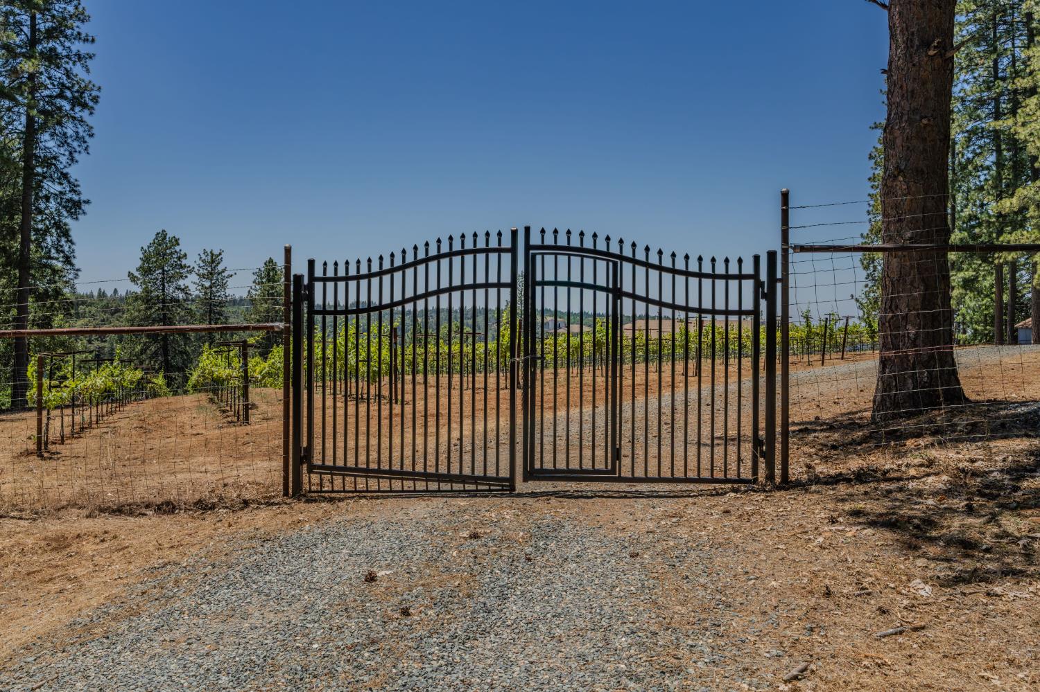18591 Ponderosa Hills Road Volcano, CA 95689 - Photo 3 of 92