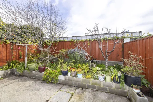 a garden with plants and wooden fence