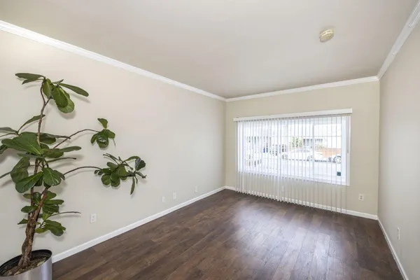 a view of a room with a flower pot and wooden floor