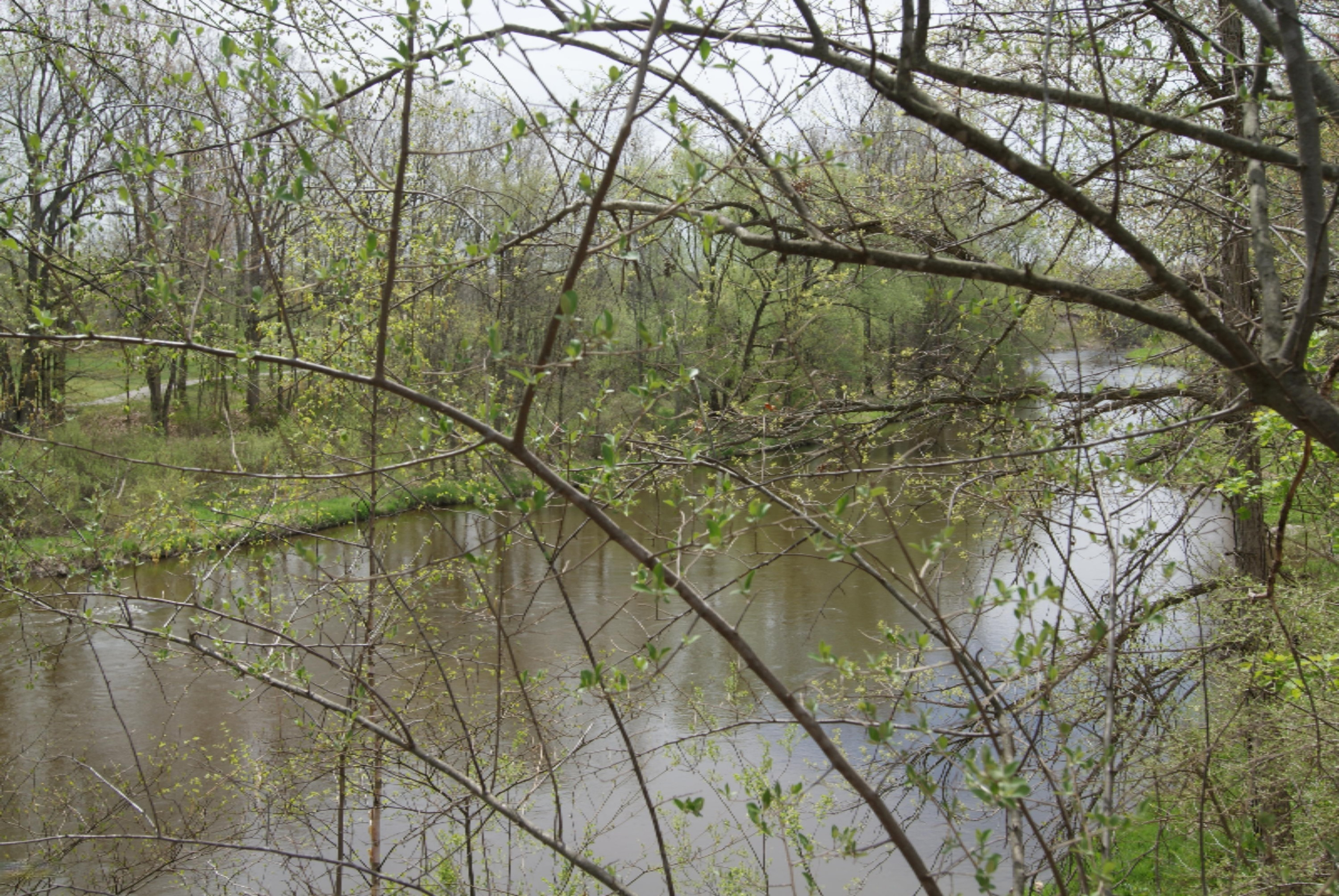 Lot 2 East River Road Mount Pleasant, MI 48858 - Photo 4 of 15 river 2