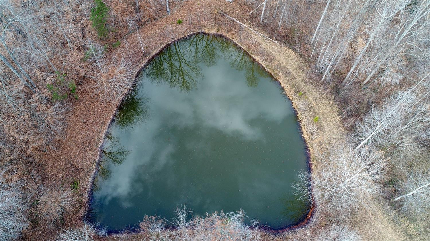 146 Opossum Run Road Irvine, KY 40336 - Photo 5 of 64 3 Ponds located on the farm!