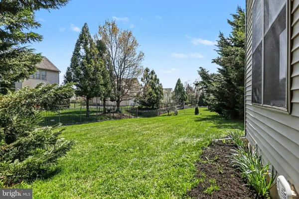 a view of a backyard with large trees