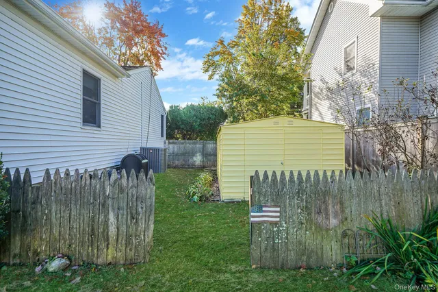 a view of a backyard with plants and large trees