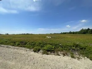 $820,000 | 11 Martins Ridge Road, Franklin, ME 04634