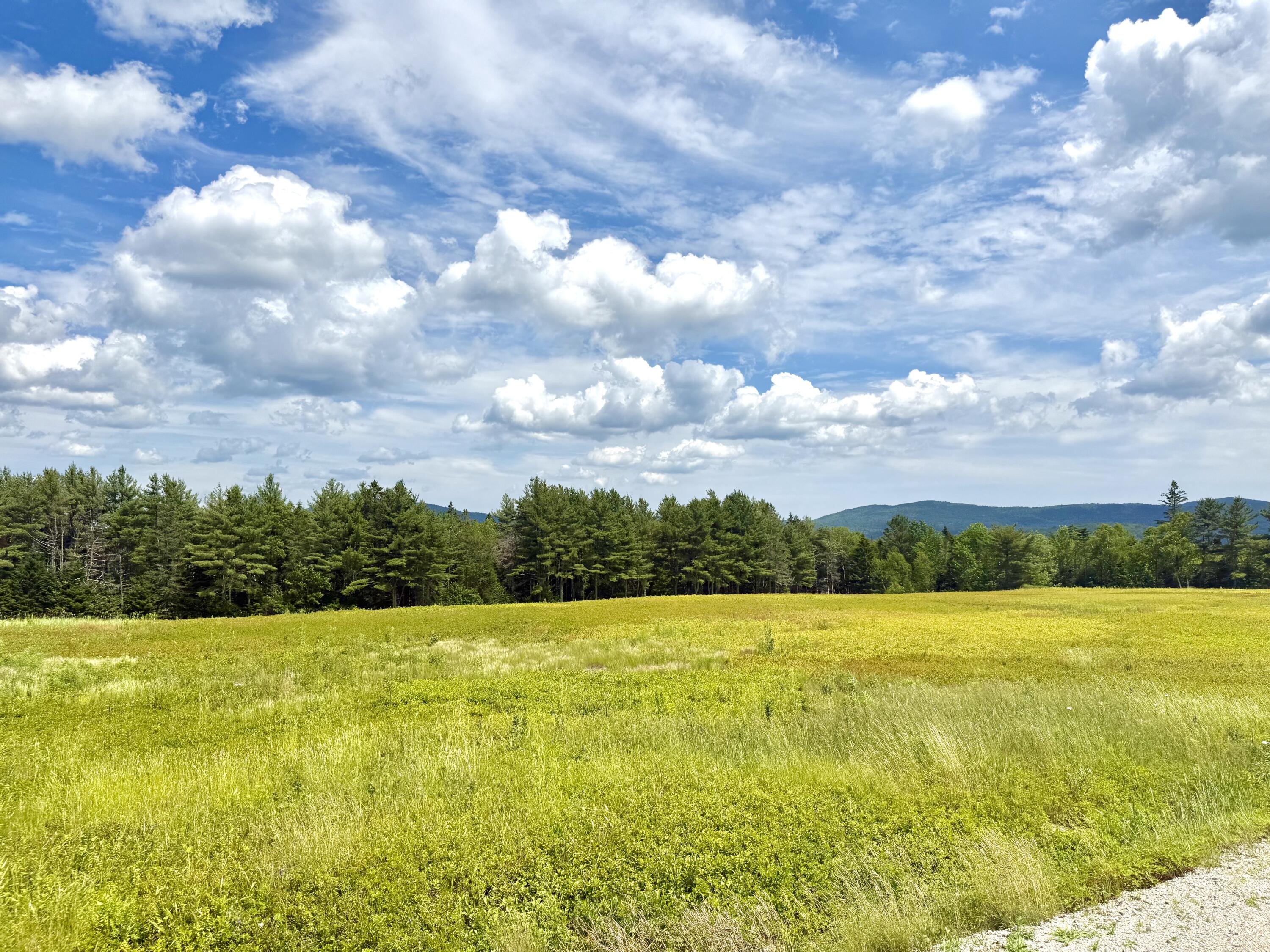 11 Martins Ridge Road Franklin, ME 04634 - Photo 20 of 47 Lot 1