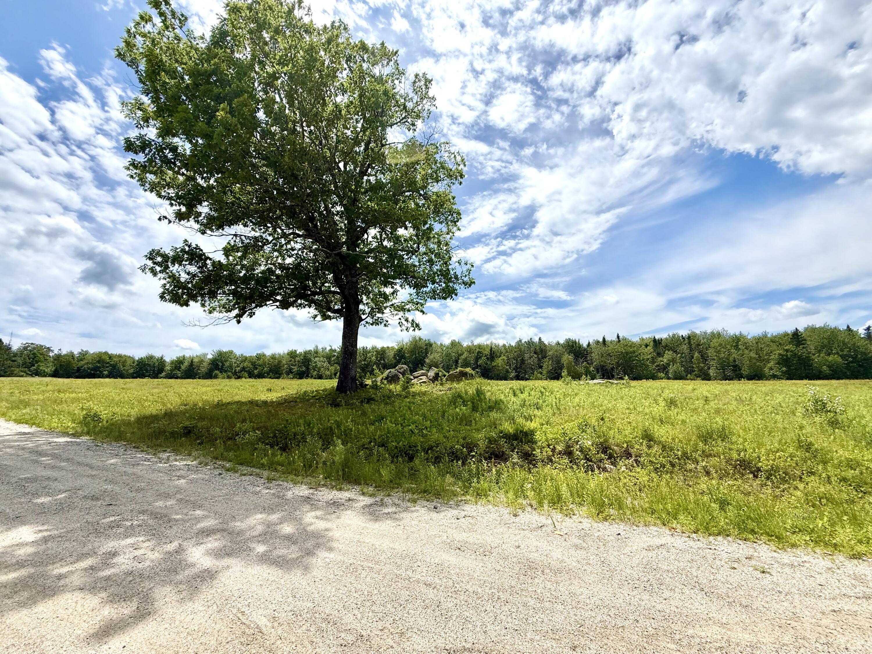 11 Martins Ridge Road Franklin, ME 04634 - Photo 30 of 47 Lot 9
