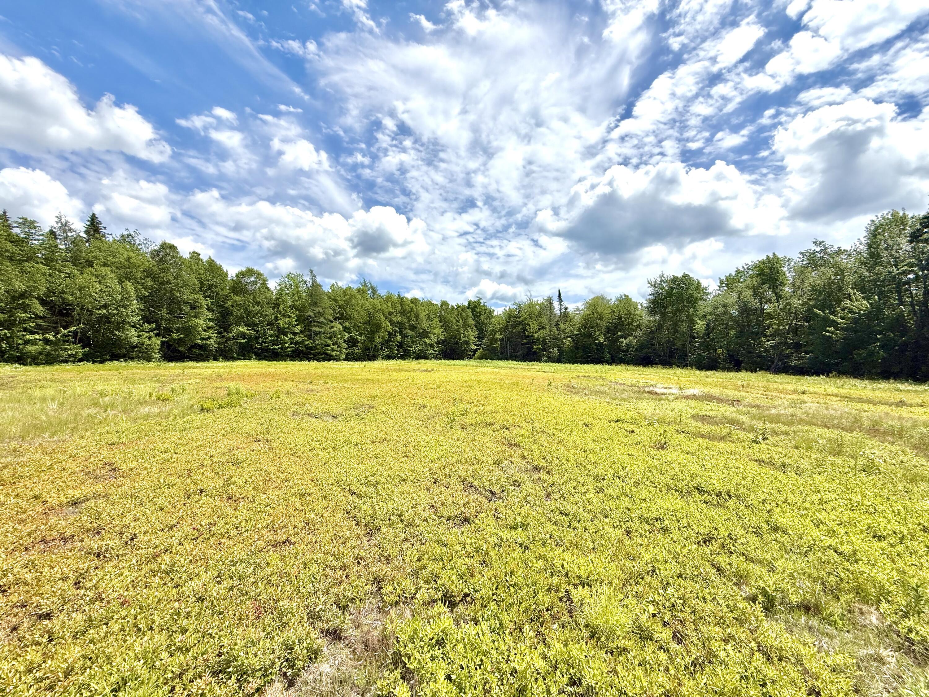 11 Martins Ridge Road Franklin, ME 04634 - Photo 38 of 47 Lot 9
