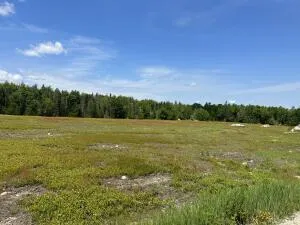 $820,000 | 11 Martins Ridge Road, Franklin, ME 04634