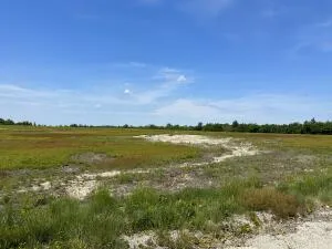 $820,000 | 11 Martins Ridge Road, Franklin, ME 04634