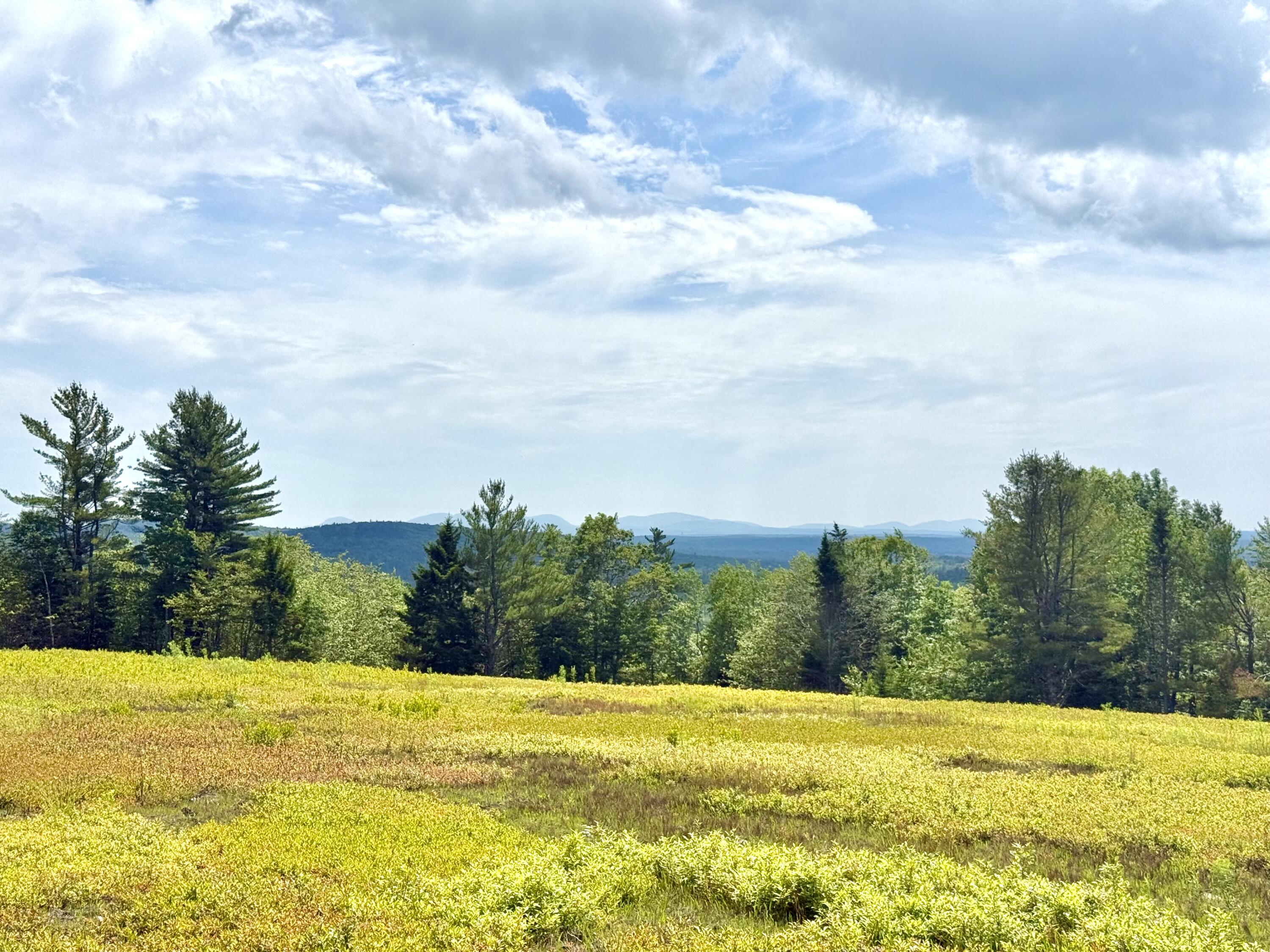 11 Martins Ridge Road Franklin, ME 04634 - Photo 7 of 47 Lot 11