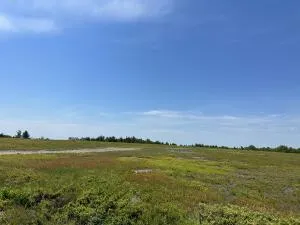 $820,000 | 11 Martins Ridge Road, Franklin, ME 04634