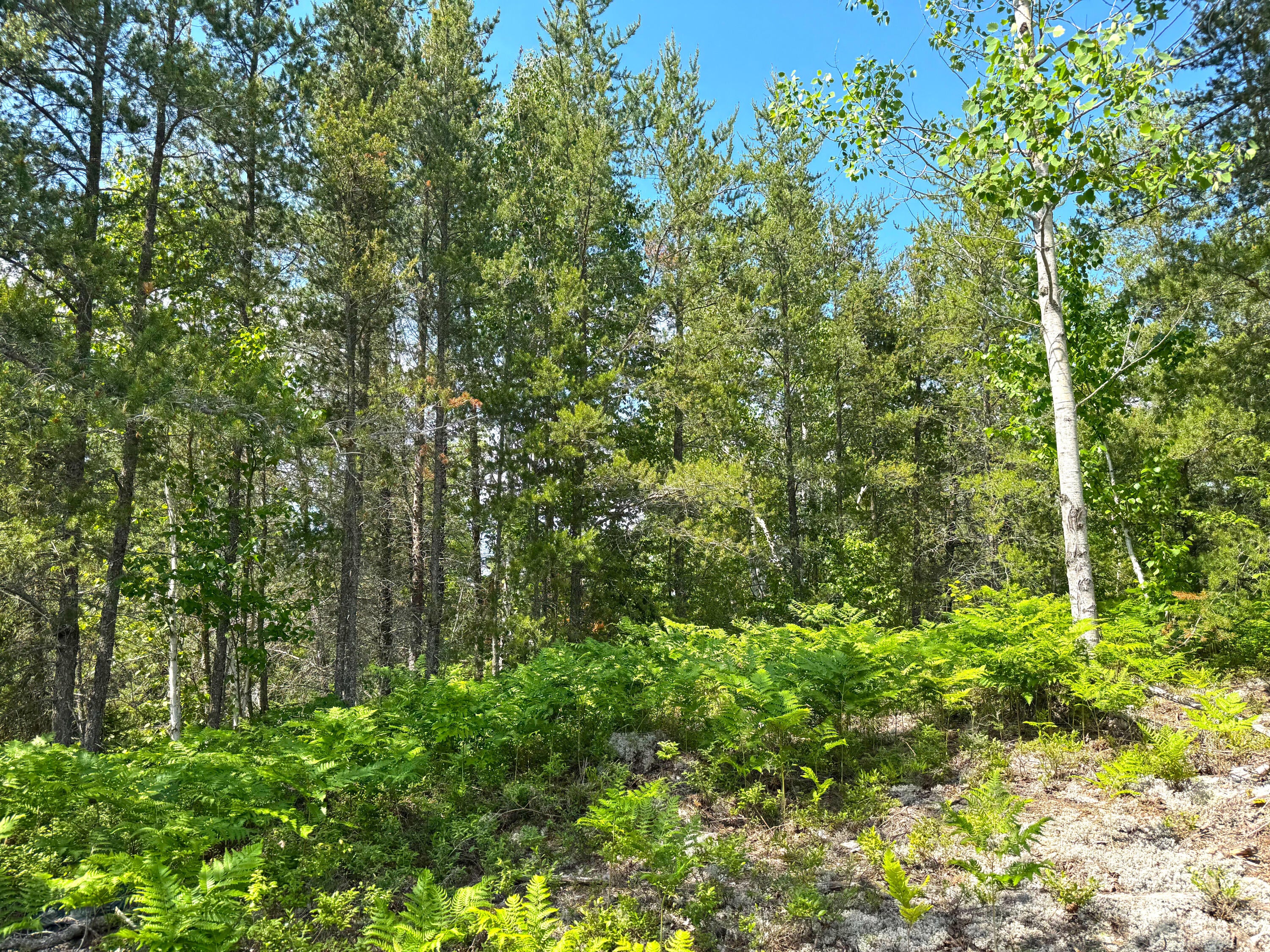 7887 North Beaver Road Paradise, MI 49768 - Photo 19 of 39 Gallery Image 19
