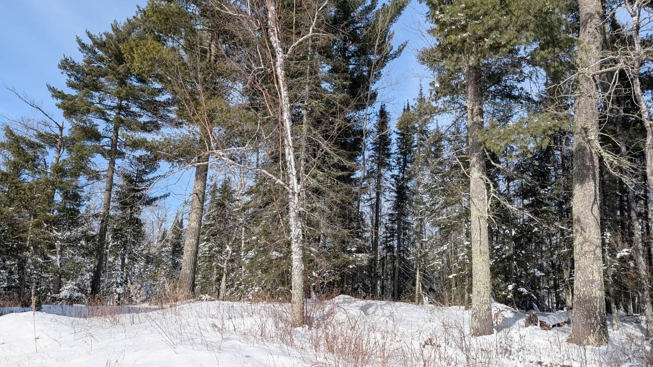 4477 Hitchcock Road Orr, MN 55771 - Photo 25 of 39