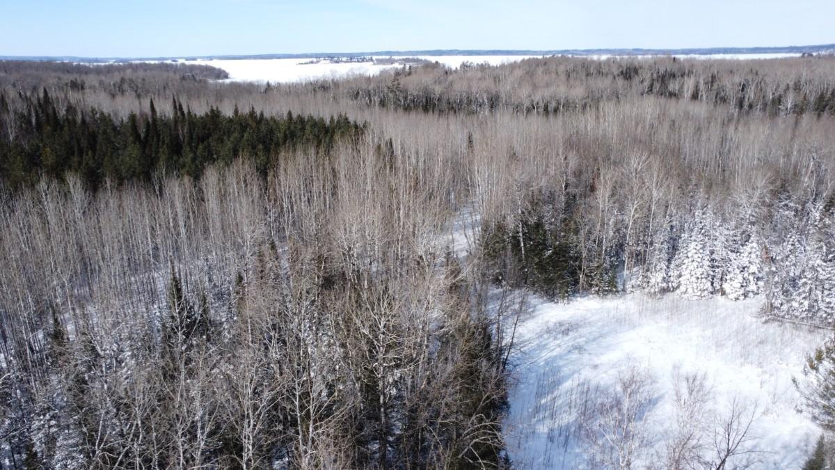 4477 Hitchcock Road Orr, MN 55771 - Photo 33 of 39