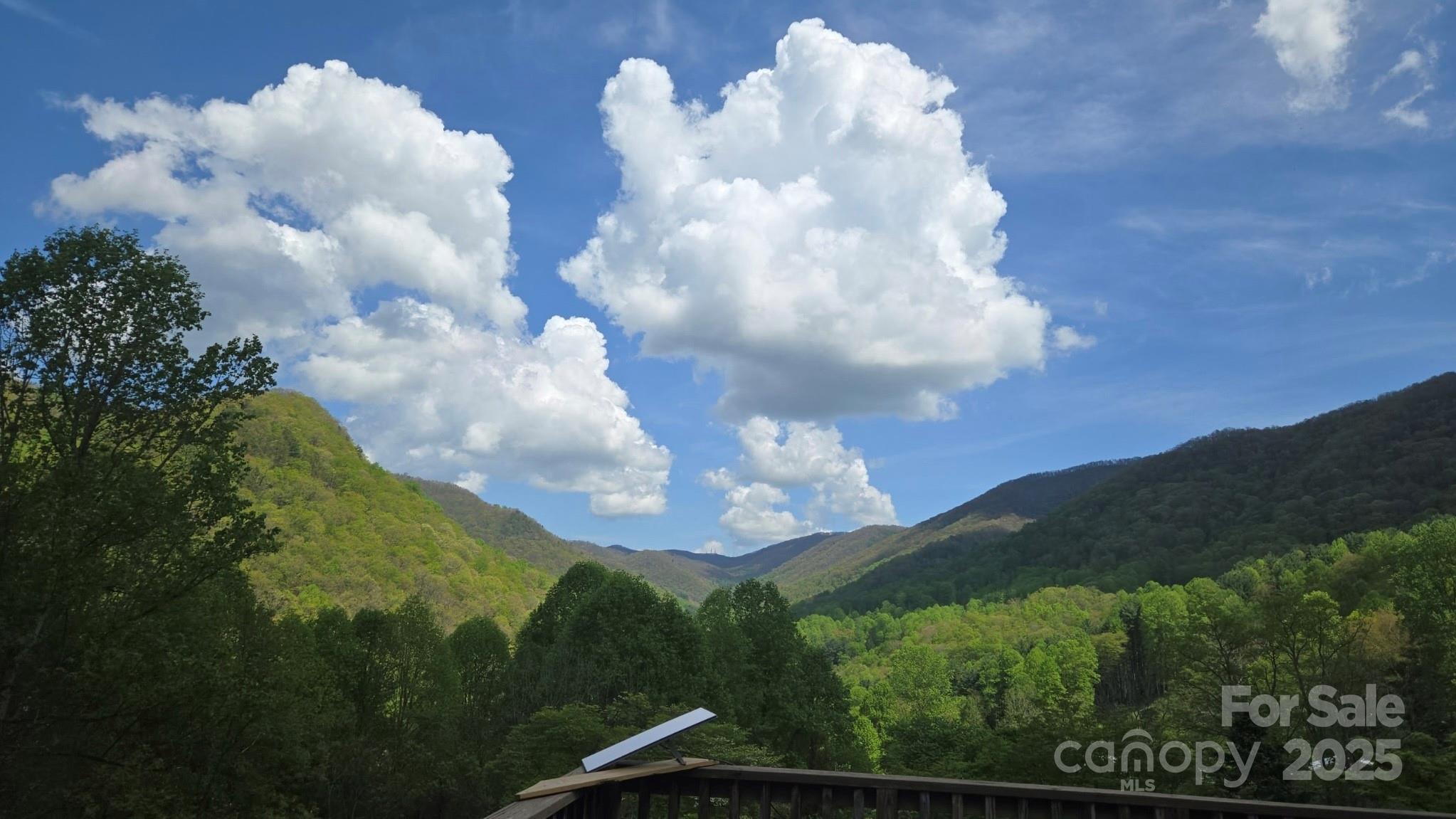 82 Brendle Road Bryson City, NC 28713 - Photo 3 of 4