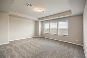 817 Paper Daisy Path Leander, TX 78641 - Photo 10 of 12 Well-lit and spacious, this bedroom features soft carpet flooring and a tray ceiling.