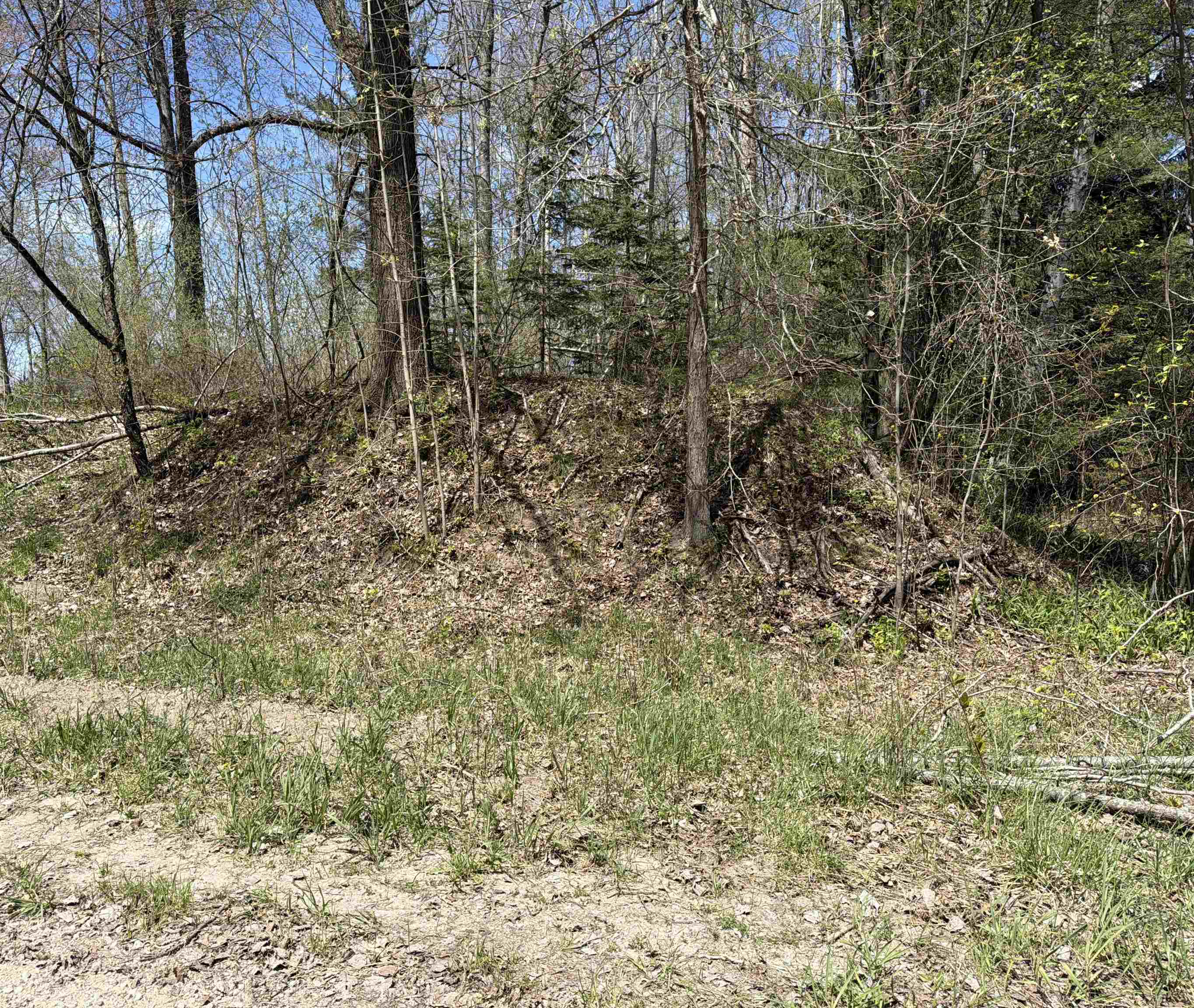 11310 West Rosebush Road Weidman, MI 48893 - Photo 2 of 12