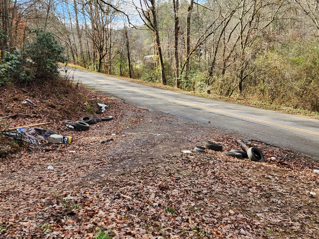1134 Long Branch Road Marble, NC 28905 - Photo 2 of 4 a view of dirt yard with a large tree