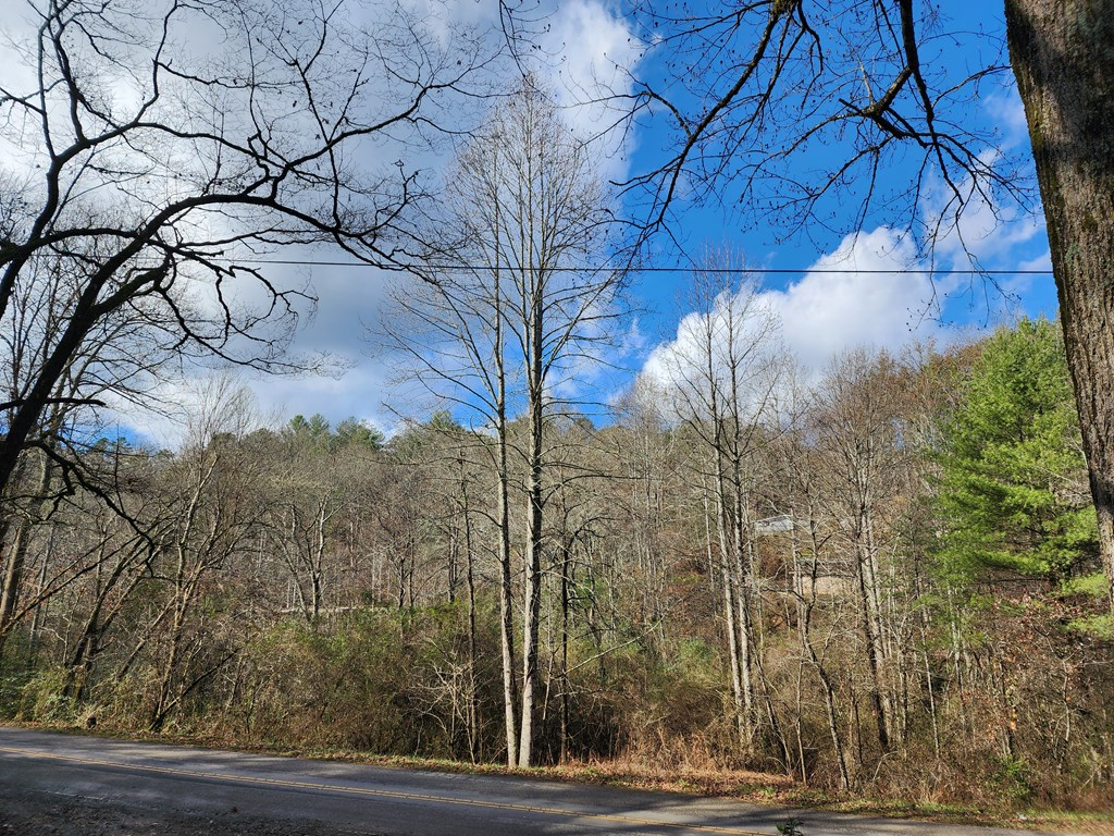 1134 Long Branch Road Marble, NC 28905 - Photo 3 of 4 a view of a yard of the house