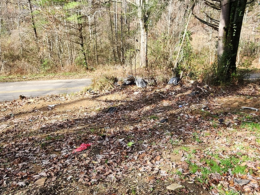 1134 Long Branch Road Marble, NC 28905 - Photo 4 of 4 a view of a yard with large trees